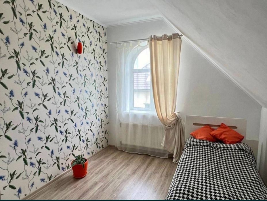 Будинок з якісним ремонтом у Дмитрівці, ділянка 12 соток!