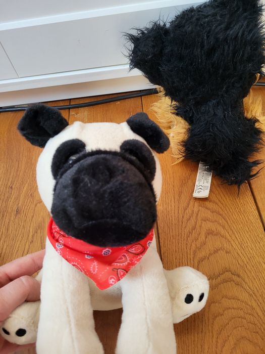 zestaw 3 pluszowych piesków, pieski pluszaki Ty, Pepco