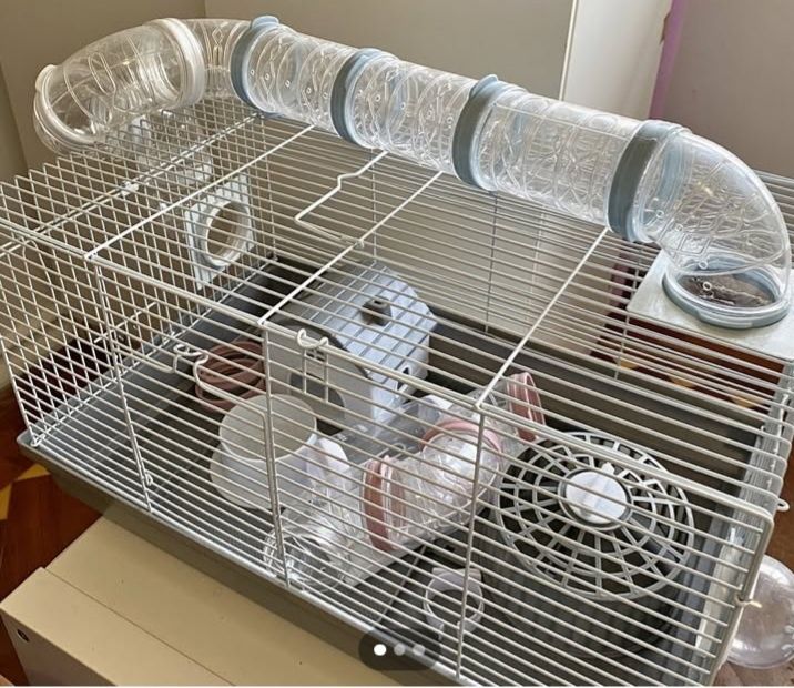 Gaiola  para pássaros/papagaio mesmo novo