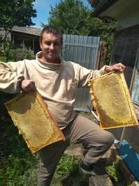Мед та інші продукти бджільництва, AКЦІЯ