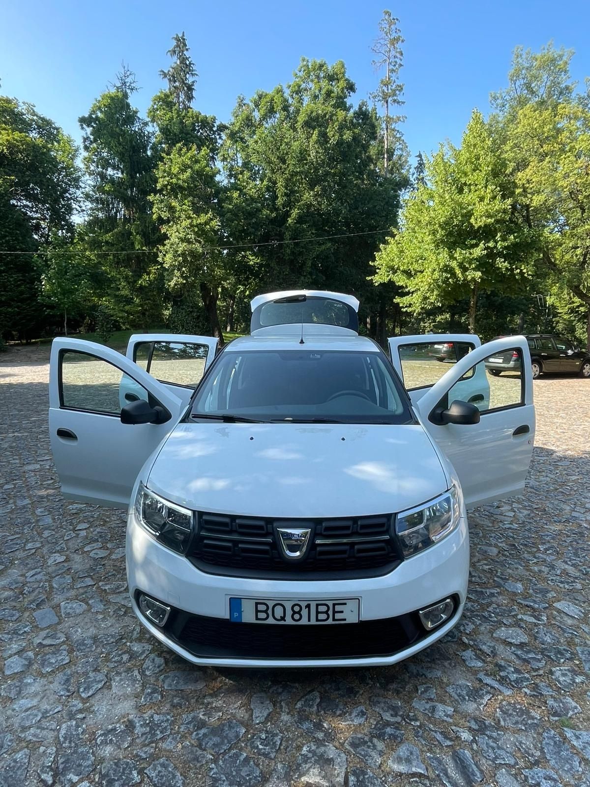 Vendo Dacia Sandero 2020