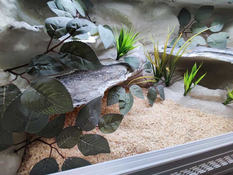 Terrarium tropikalne nr541 80/40/40 dla węża boa pyton NA ZAMÓWIENIE