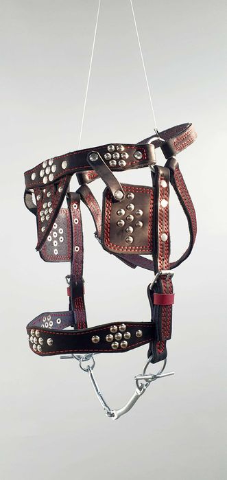 Уздечка на коня,капейстра