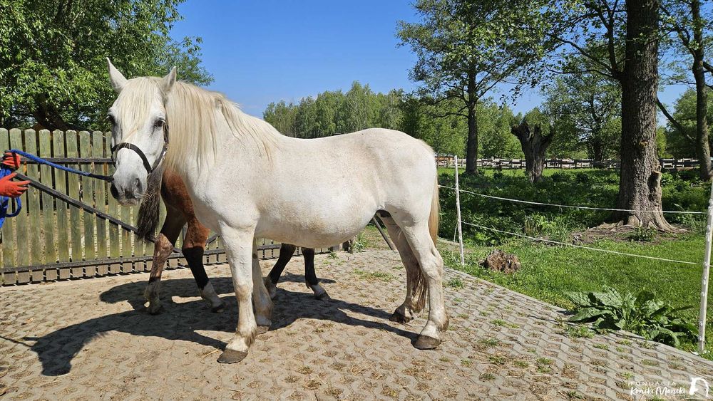 Lara z Karolkiem szukają nowego domu