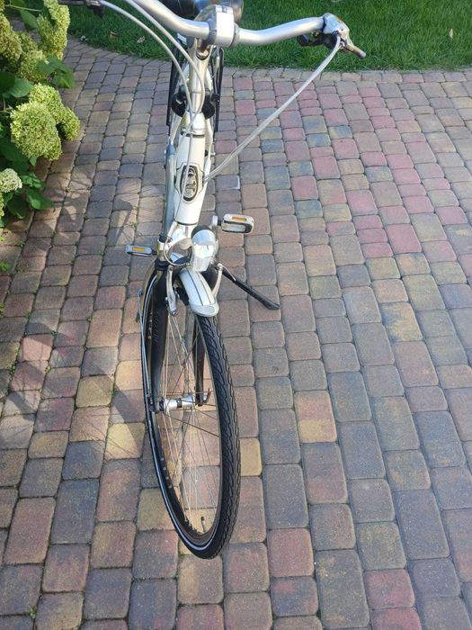 Gazelle fuente z Holandii