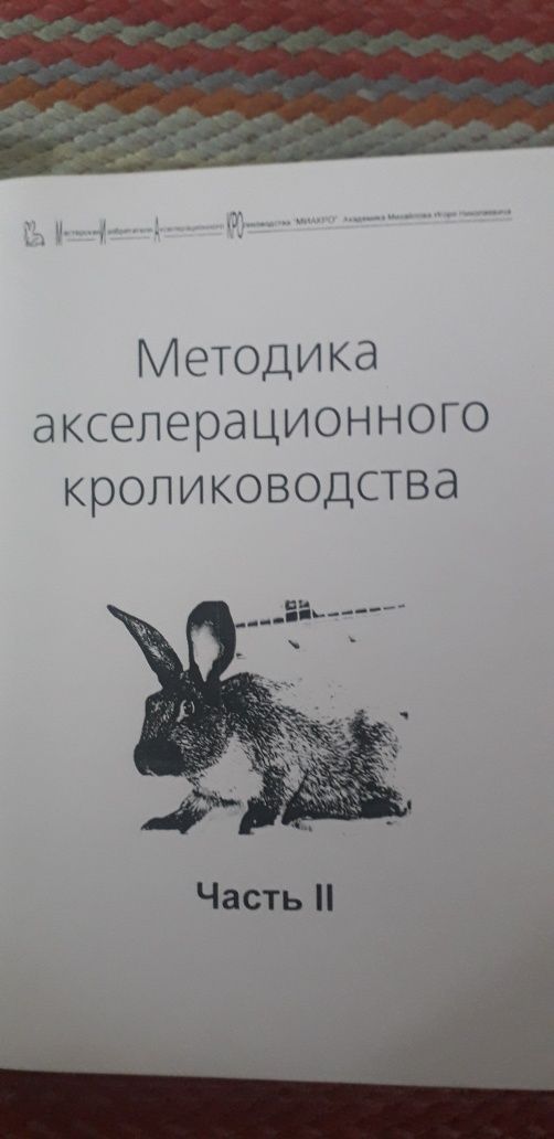 Методика акселераційного кролівництва