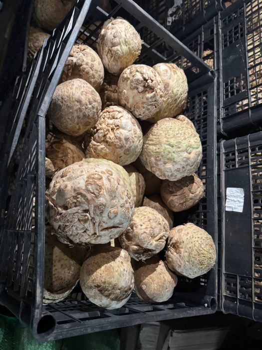 Селера, мита , чищена