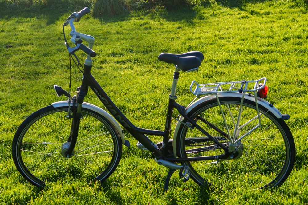 Giant city adventure tourer cs1 rama S