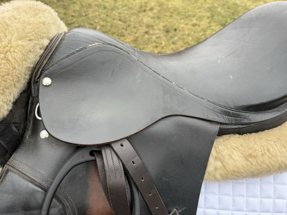 Siodło wszechstronne o profilu ujezdzeniowym