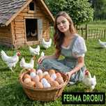 Kury kokoszki nioski Tetra biała jak leghorn dowóz Gratis
