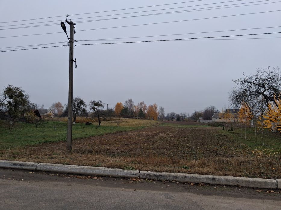 Земельна ділянка в ЦЕНТРІ с.Борохів