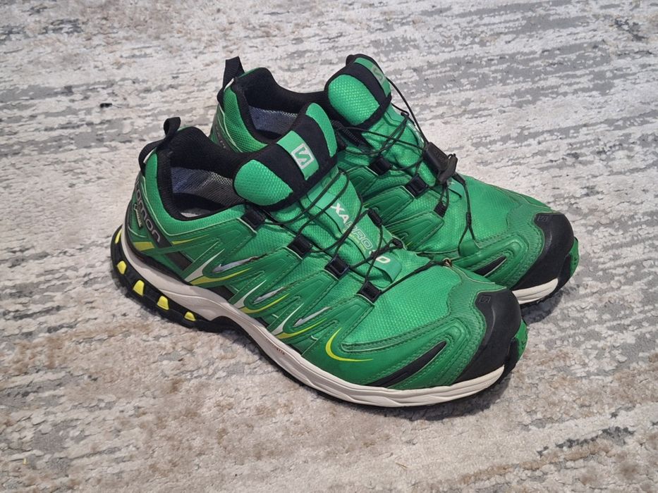 Кросівки Salomon xa pro 3d gore-tex green