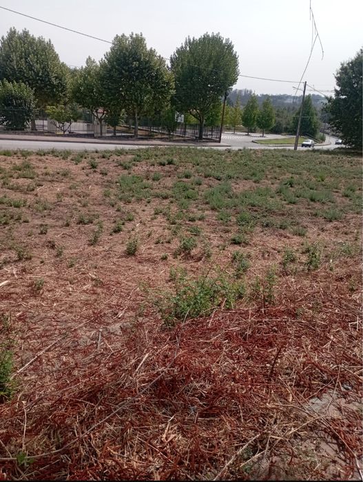 2 Terrenos em Cabanas de Viriato - Quinta do Fojo