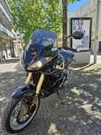 Triumph tiger 1050  unico dono