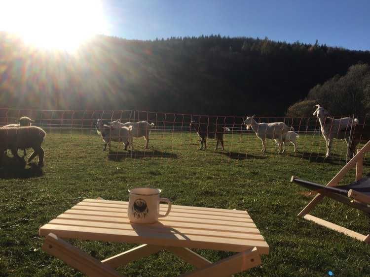 Zagroda Kopytkowo Glamping pole namiotowe nocleg