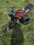 Mustang 125 2-b