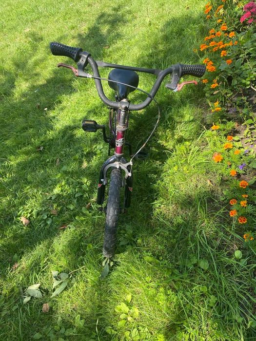 Дитячий велосипед Ardis