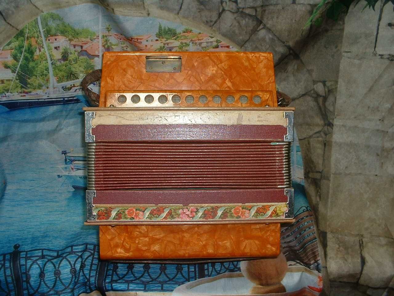 Concertina Avenda N .992