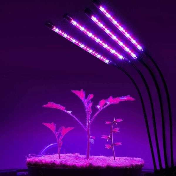 Фитолампа светодиодная для растений Plant Grow 4 ветви + таймер