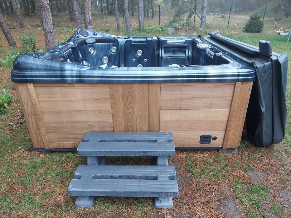 Jacuzzi ogrodowe amerykańskie Dynasty Spas 235x235.