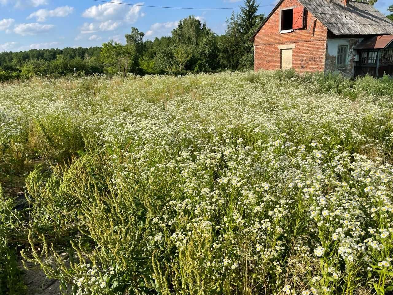 Ділянка 16 сотих, с. Годовиця