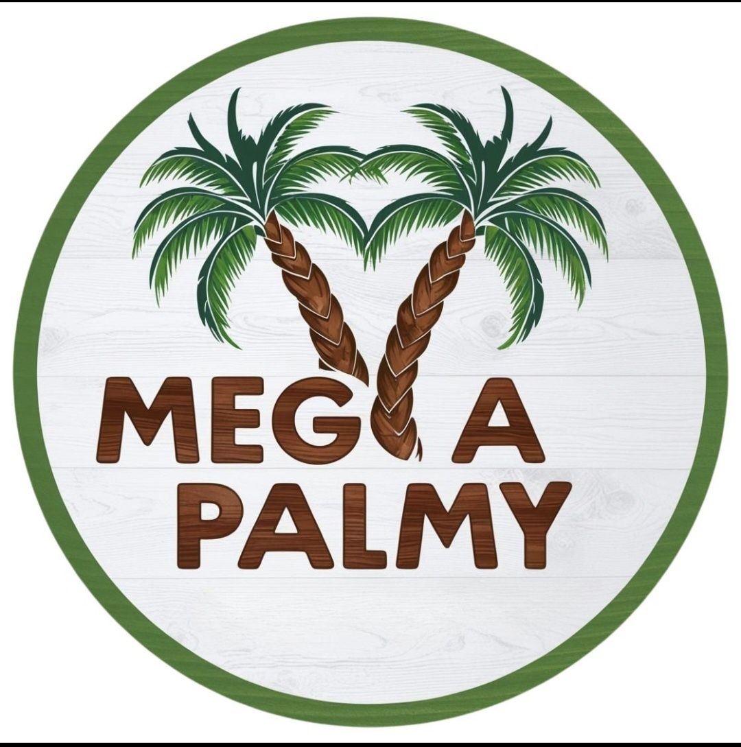 Palma mrozoodporna. Rośliny egzotyczne. Rostrata. Humilis. Treculeana