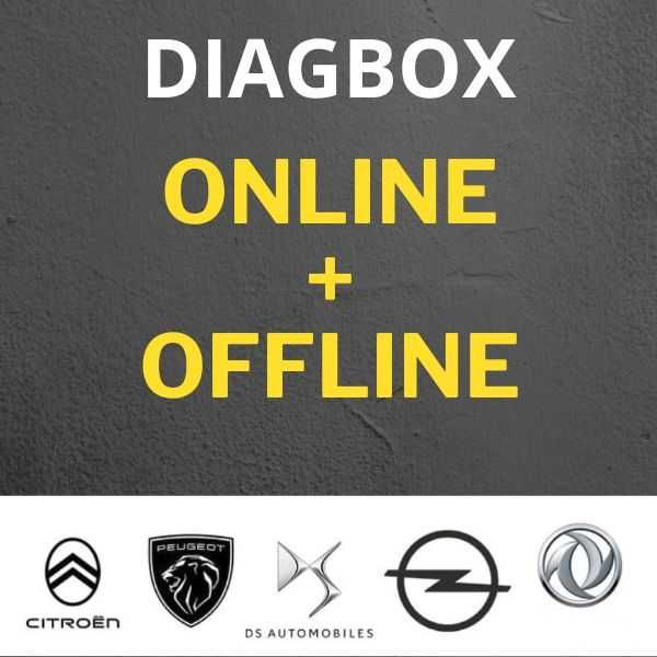 Установлю программы Peugeot, Citroen - PSA DiagBox Laser Service Box