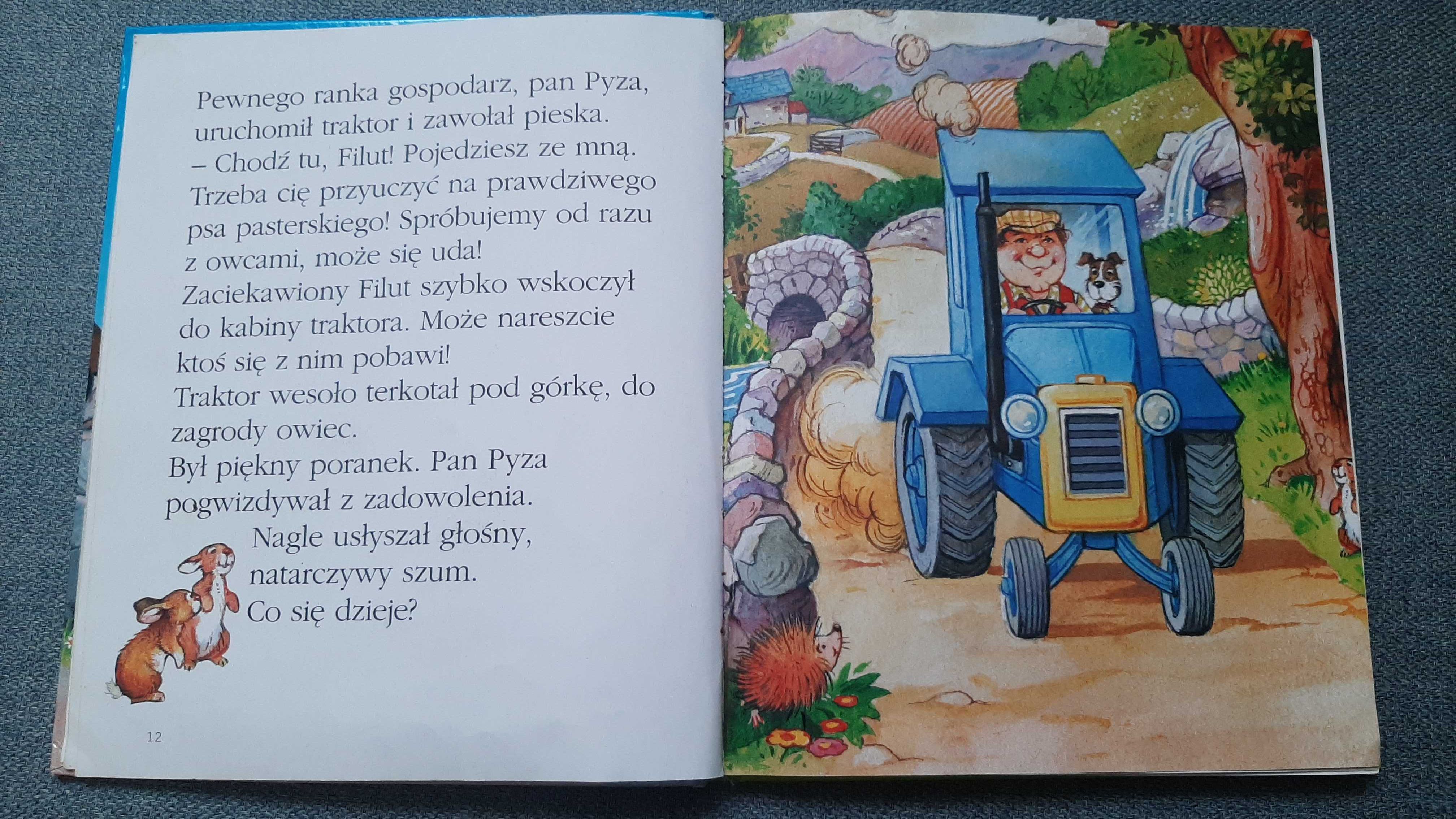 Zwierzęta Pana Pyzy Duże litery Zwierzęta na wsi pies koń kur owieczki