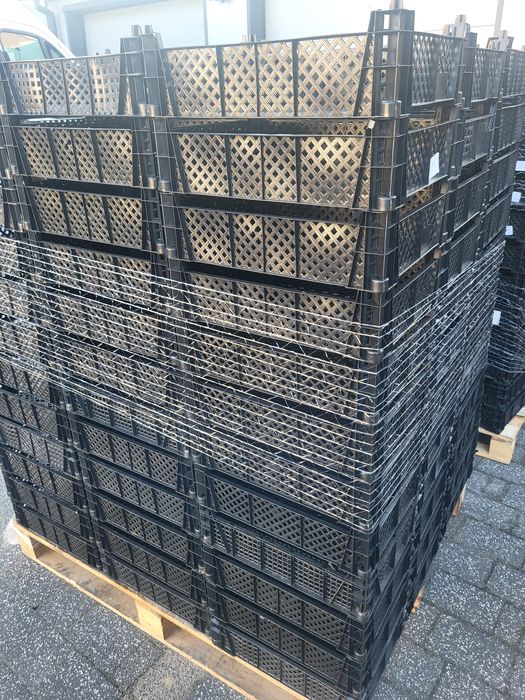 Skrzynka plastikowa pieczarka borówka