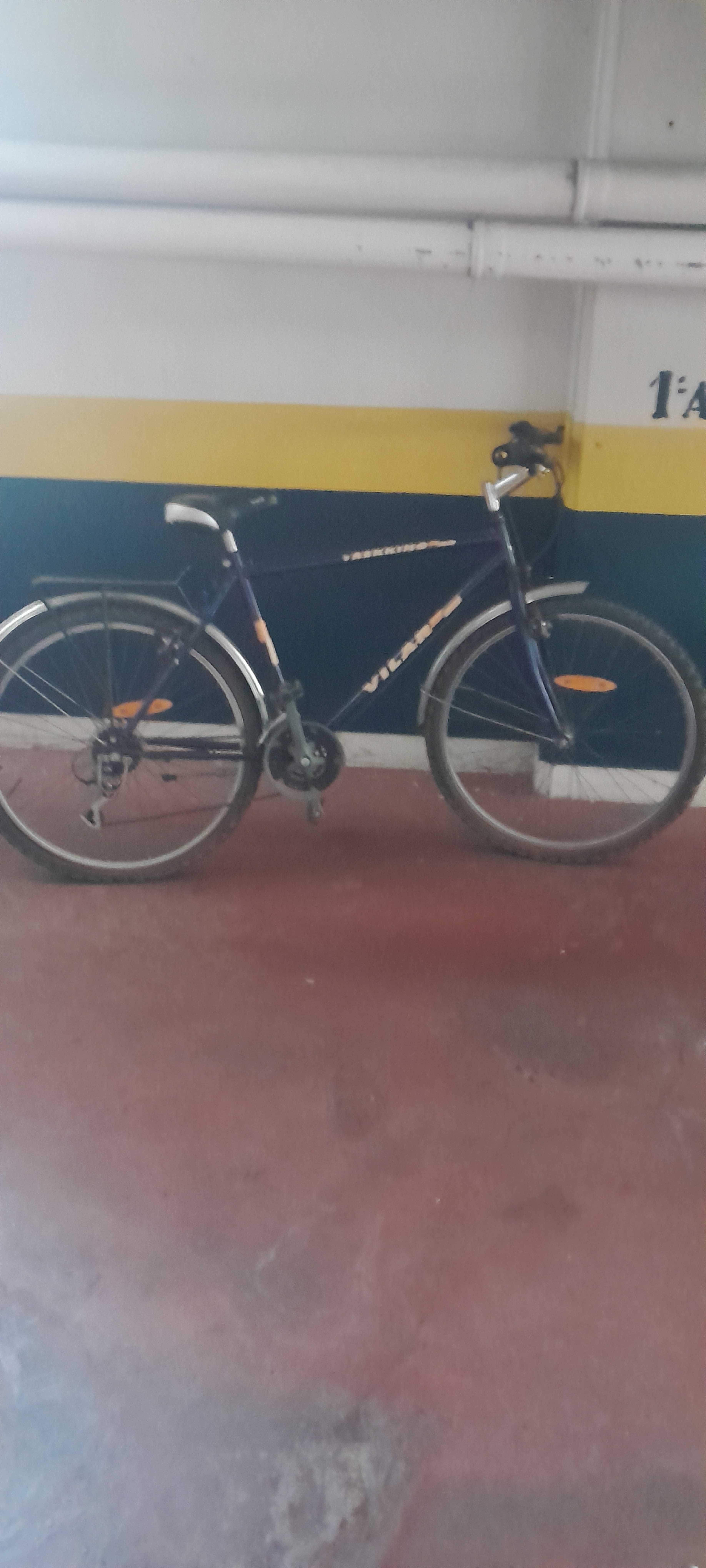 Bicicleta Vilar Treeking