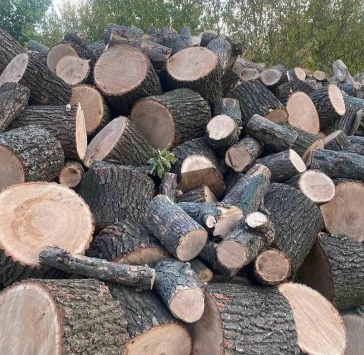 Дрова Гатне. ДУБ,БЕРЕЗА,ВІЛЬХА,СОСНА. Чесний обьєм. 8/10/12/33 ск/м