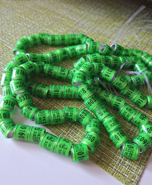 Obrączki dla gołębi pocztowych 50 sztuk FCI CHN 2023