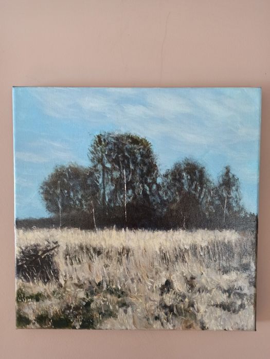 Obraz akrylowy Zima 30x30