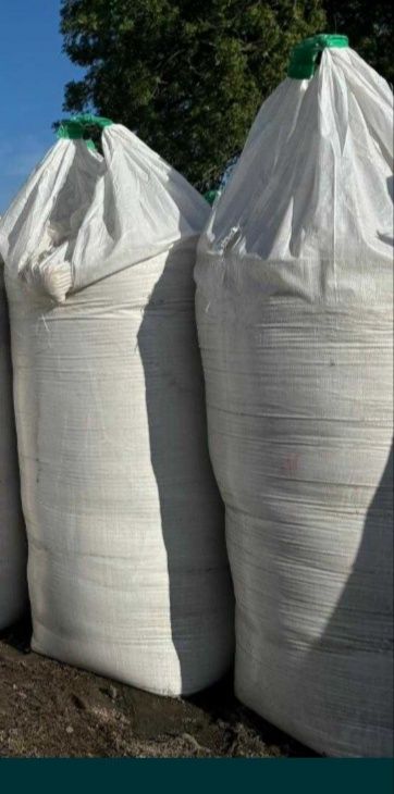 Sprzedam 1 big bag kukurydzy CCM