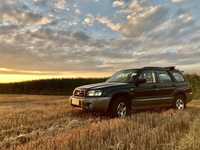 Subaru Forester Subaru Forester 2.0 X Zdrowy, zadbany, sprawny