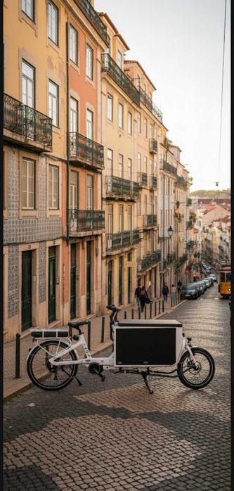 Bicicleta eletrica com porta malas.