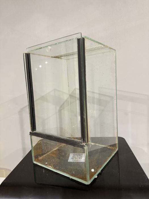 Terrarium - 15x15x25