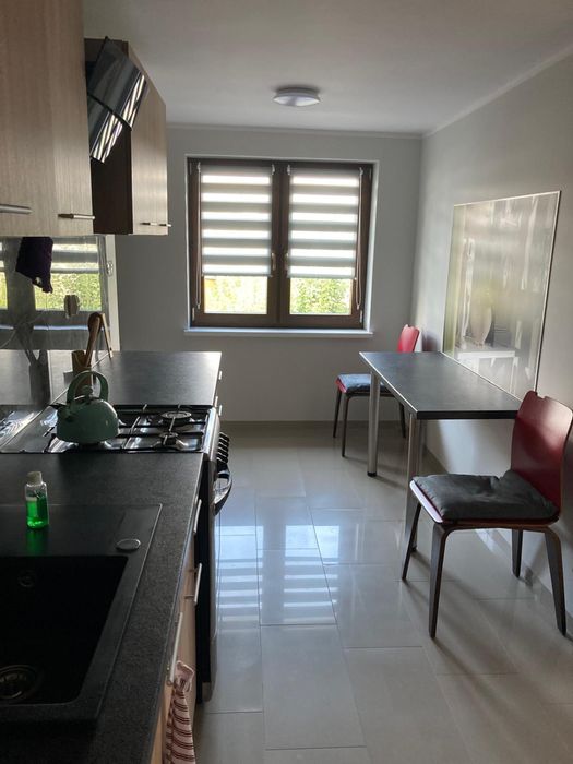 Mieszkania do wynajęcia 40-70m2, po remoncie, garaż, lokal usługowy