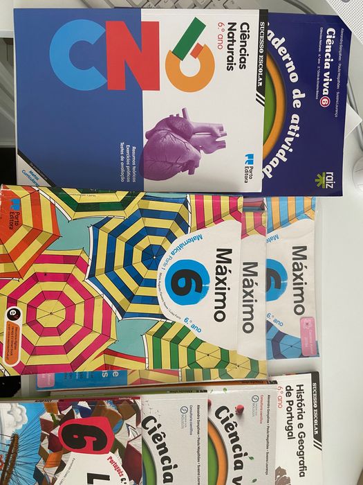 Livros escolares 6 ano