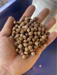Pestka wiśni opał (zamiennik pellet, ekogroszek)