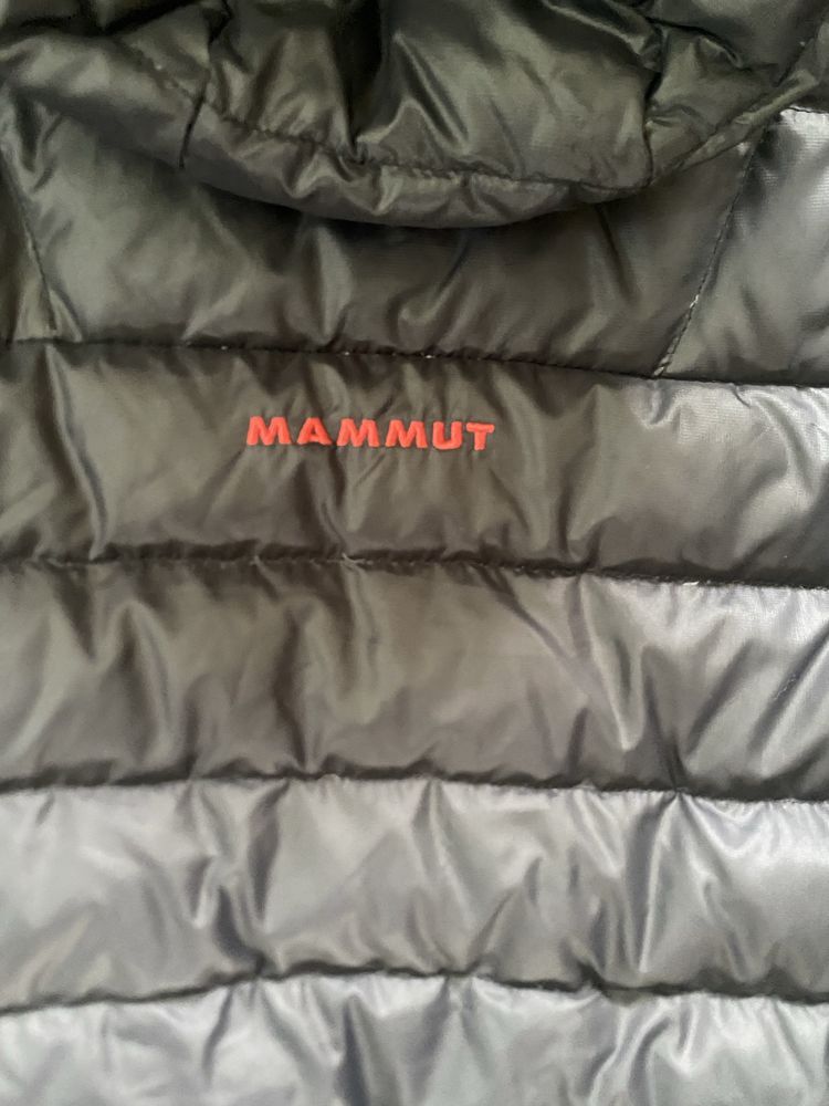 Mammut куртка XL розм