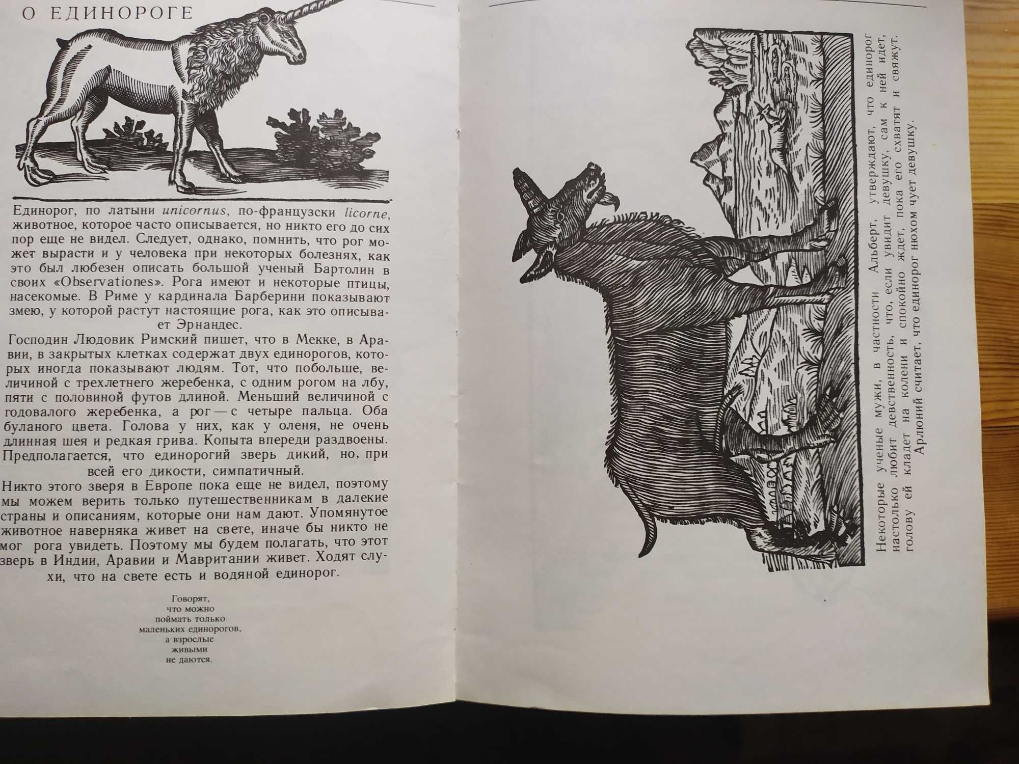 Книга Сафари под Килиманджаро