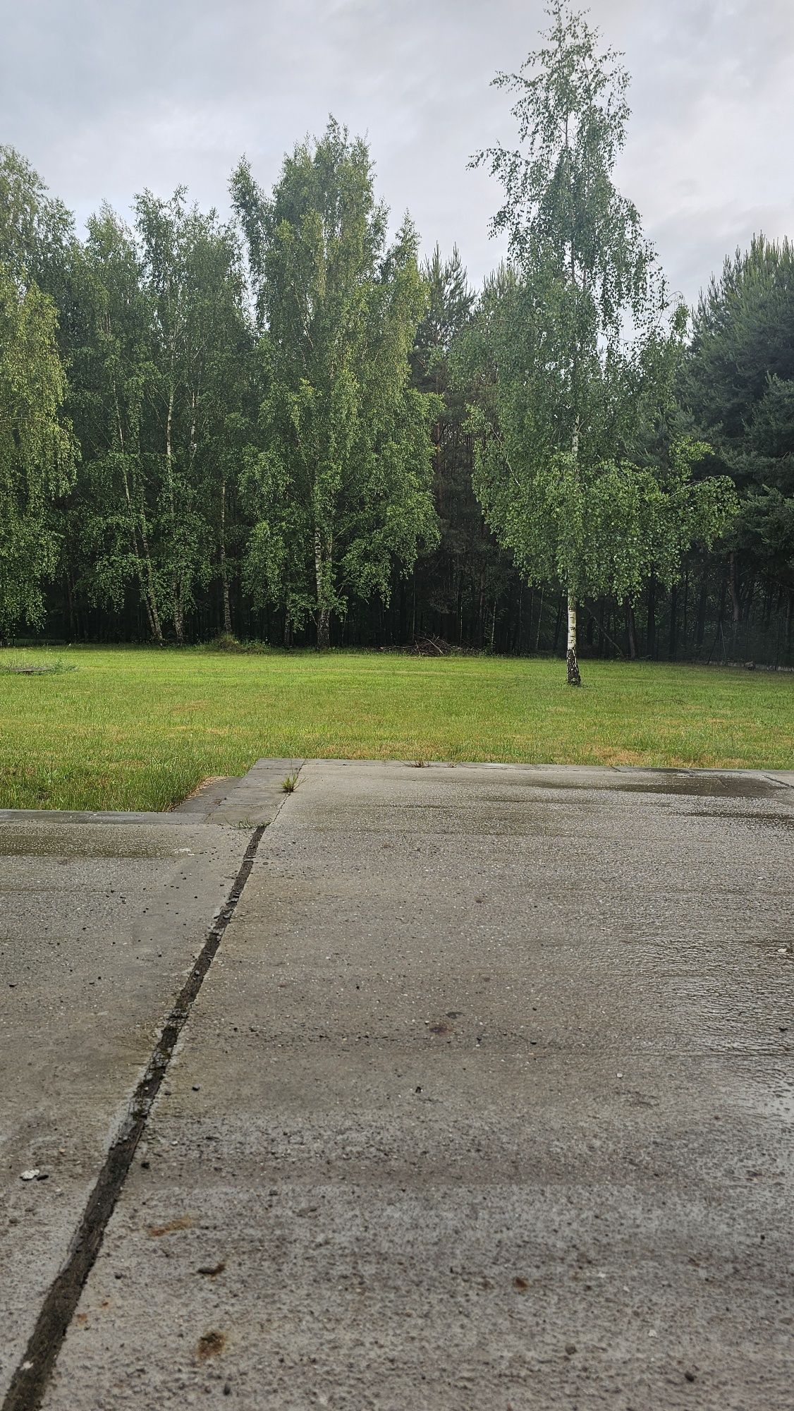Sprzedamy drewno opałowe 80/m²