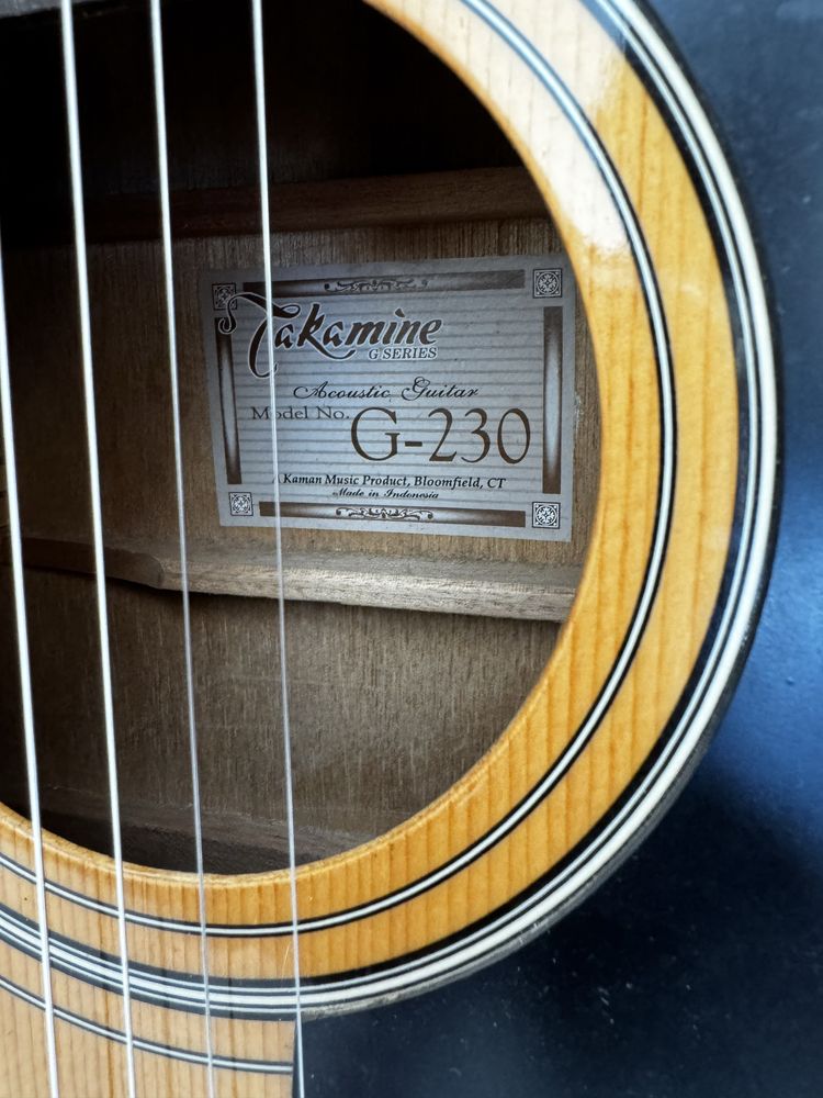 Takamine g 230 guitarra acustica