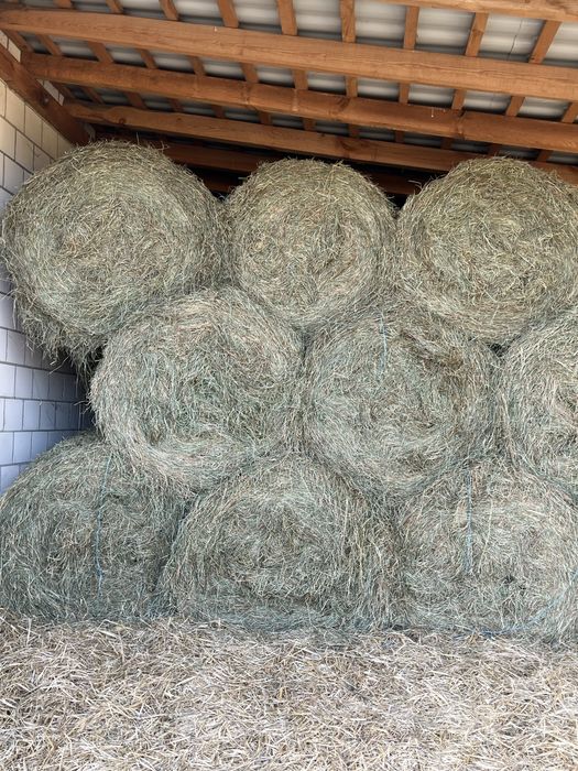 Siano pogodne 120x120