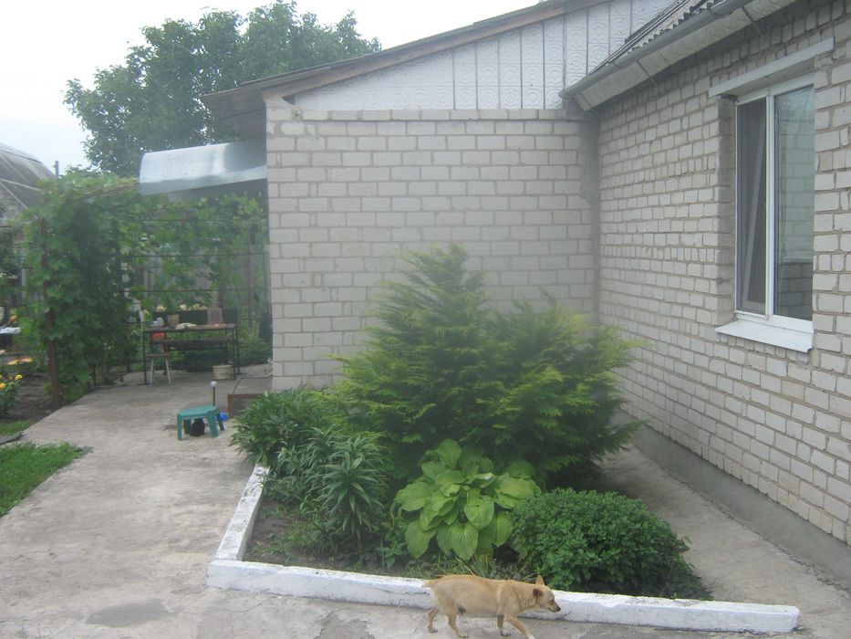 Продам будинок в смт Новомиколаївка (з/станція Верхньодніпровськ)