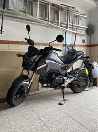 Honda msx 125 grom