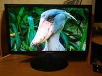 Монитор Samsung SyncMaster E2220N (сломан)