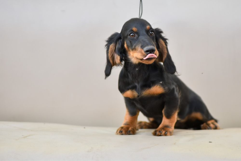 Гарнюня дівчинка