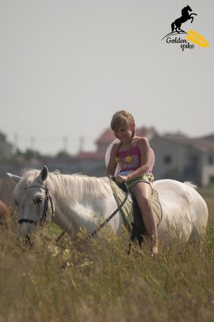 Продам лошадь для уроков  верховой езды и прогулок